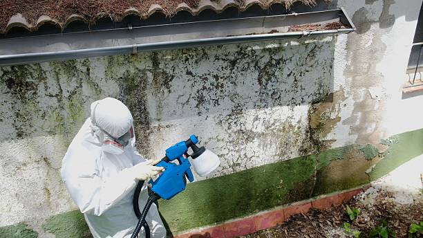 Trusted Mold Remediation service in Seven Valleys, PA - Cheap Mold Removal